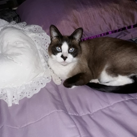 I Rescue ANIMALS! - Picture 5 of 12